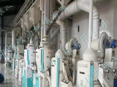 200噸級碾米機設備